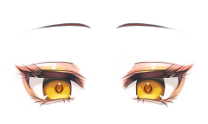 認識しづらい目